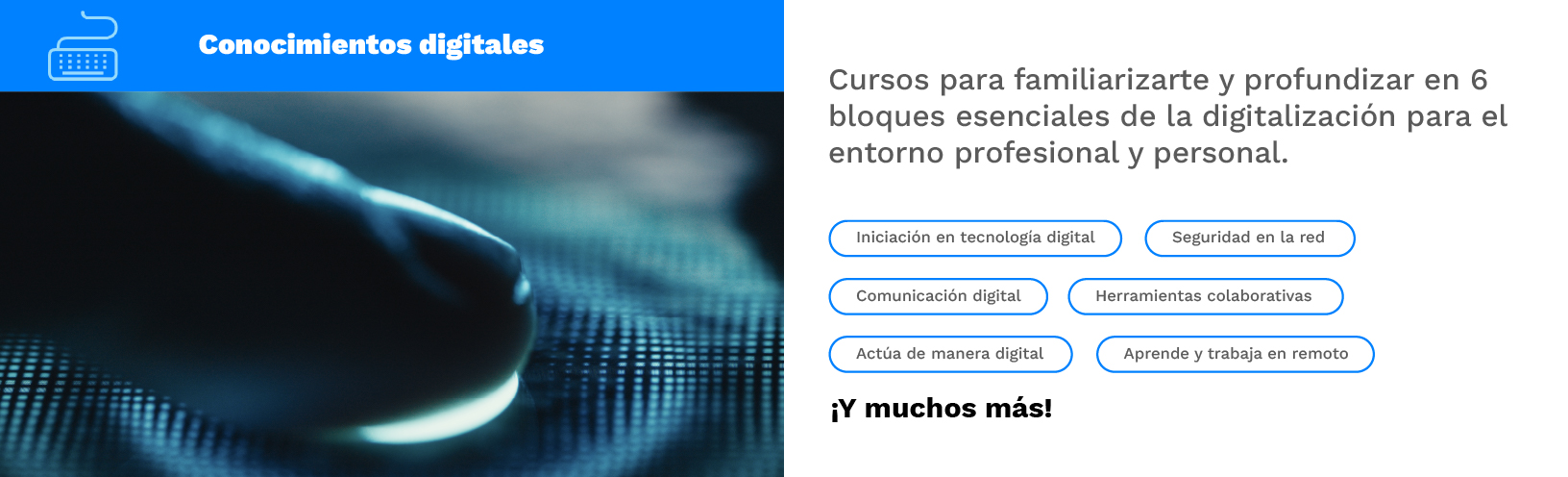 1_Cursos_Conocimientos digitales