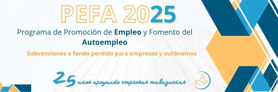 PEFA 2025
